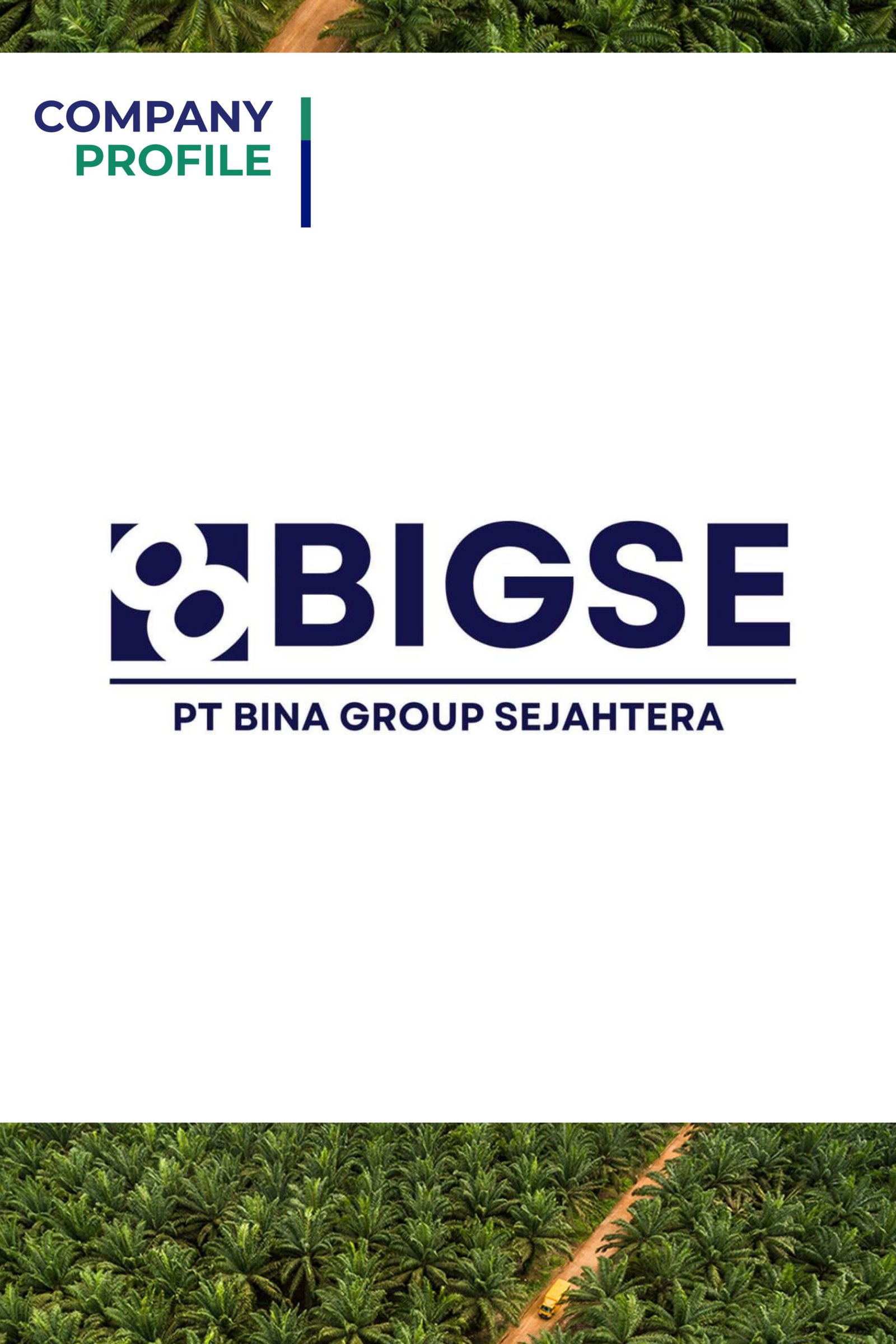 banner 325x300